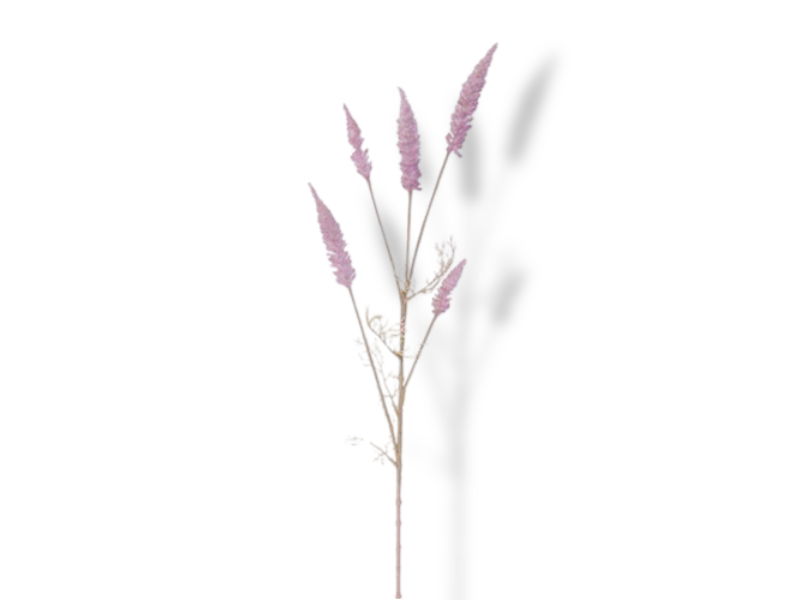 https://cdn.warentuin.nl/media/catalog/product/S/C/SCAN2500000234040_01_buitengewoon_de_boet_astilbe_tak_pink_kunstb_abea.jpg