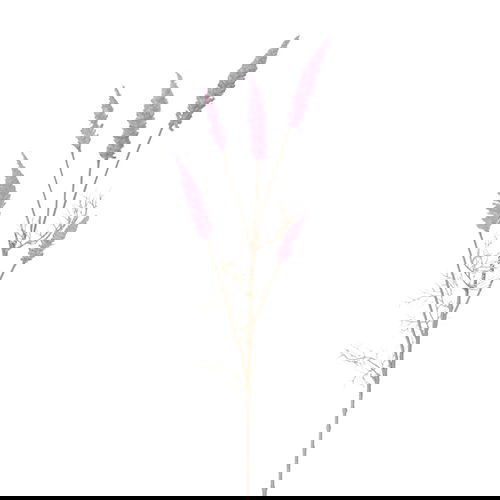 https://cdn.warentuin.nl/media/catalog/product/S/C/SCAN2500000234040_buitengewoon_boet_kunstbloem_astilbe_tak_pink_0c2e.jpg