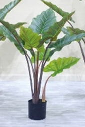 Kunstplant Alocasia 140 cm Buitengewoon de Boet