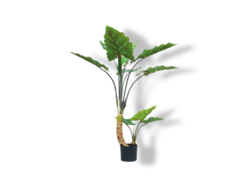 https://cdn.warentuin.nl/media/catalog/product/S/C/SCAN2500000237560_01_buitengewoon_de_boet_kunstplant_alocasia_dik_c361.jpg