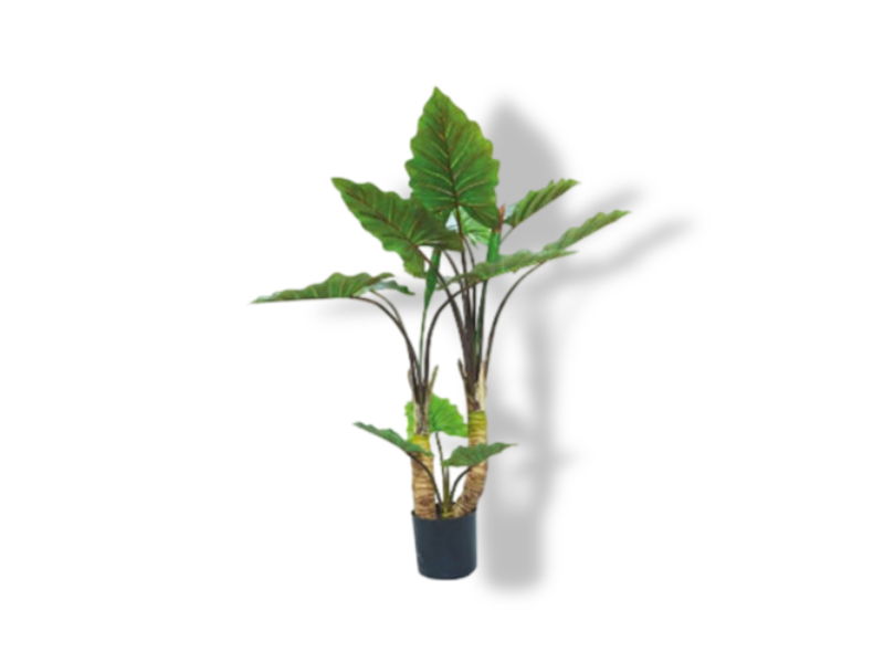 https://cdn.warentuin.nl/media/catalog/product/S/C/SCAN2500000237577_01_buitengewoon_de_boet_kunstplant_alocasia_dub_4eb2.jpg