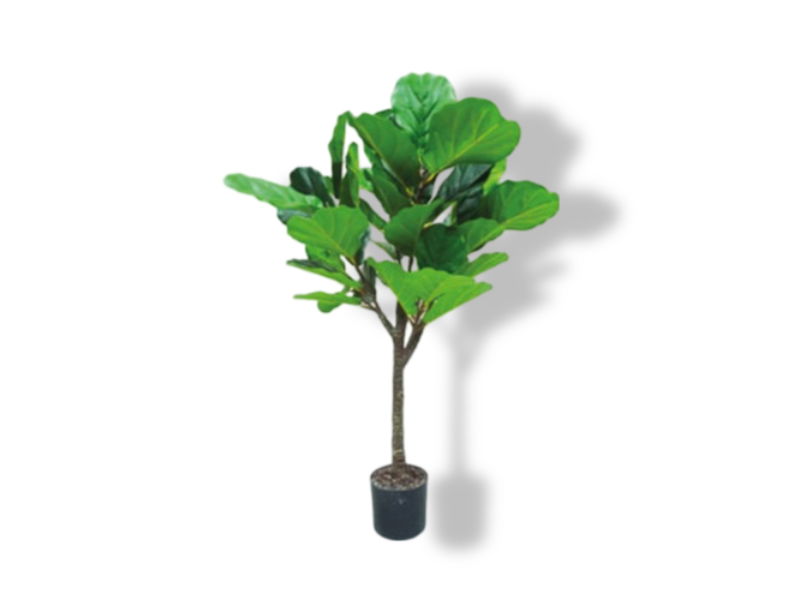 https://cdn.warentuin.nl/media/catalog/product/S/C/SCAN2500000237669_01_buitengewoon_de_boet_kunstplant_ficus_lyrata_fda6.jpg