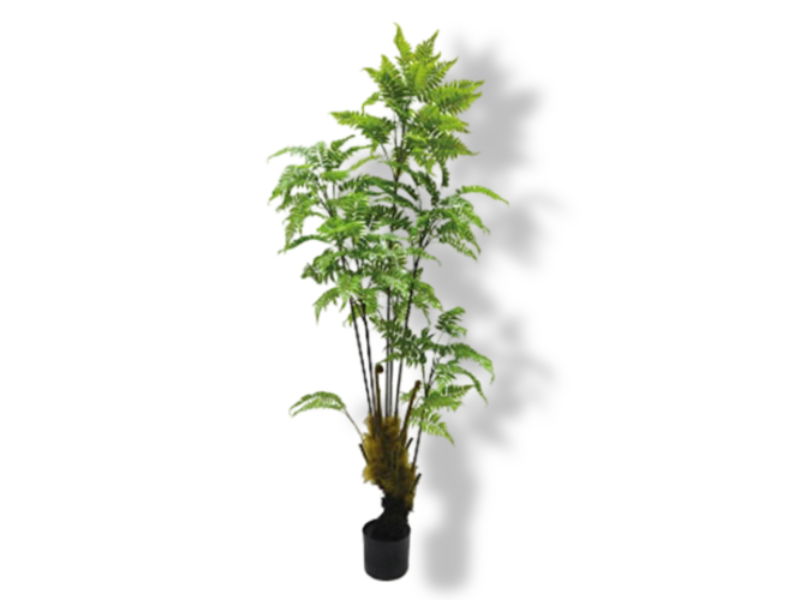 https://cdn.warentuin.nl/media/catalog/product/S/C/SCAN2500000237843_01_buitengewoon_de_boet_kunstplant_bosvaren_lan_c18f.jpg