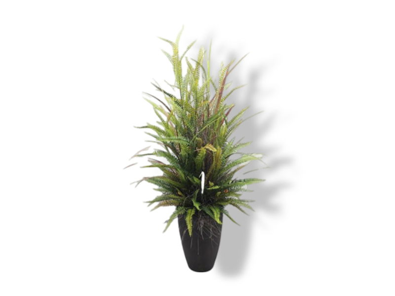 https://cdn.warentuin.nl/media/catalog/product/S/C/SCAN2500000238086_01_buitengewoon_de_boet_varen_in_pot_150_cm_kun_00a6.jpg