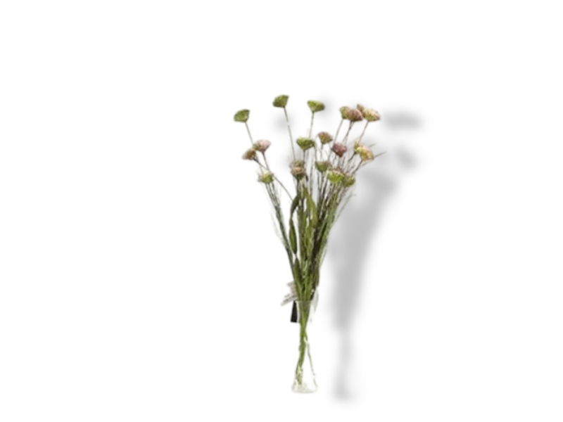 https://cdn.warentuin.nl/media/catalog/product/S/C/SCAN2500000238765_01_buitengewoon_de_boet_kunst_tak_allium_wit_ro_9b2d.jpg