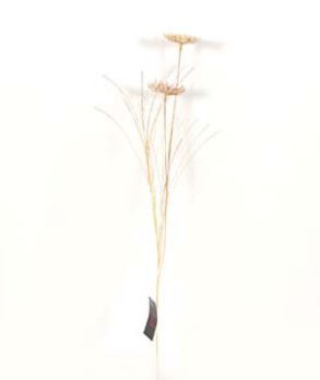 https://cdn.warentuin.nl/media/catalog/product/S/C/SCAN2500000238789_buitengewoon_boet_kunstplant_kunst_tak_dille_gr_299f.jpg