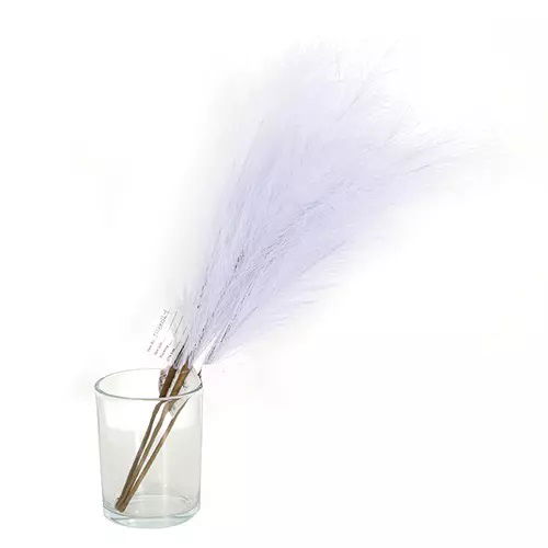 https://cdn.warentuin.nl/media/catalog/product/S/C/SCAN2500000238833_01_buitengewoon_boet_kunstplant_pampas_gras_60_cm_licht_blauw_ff49.jpg