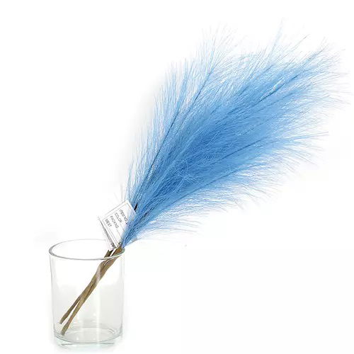 https://cdn.warentuin.nl/media/catalog/product/S/C/SCAN2500000238857_01_buitengewoon_boet_kunstplant_pampas_gras_60_cm_turquoise_k_31df.jpg