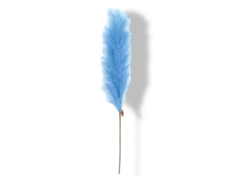 https://cdn.warentuin.nl/media/catalog/product/S/C/SCAN2500000238864_01_buitengewoon_de_boet_pampas_gras_60_cm_zeebl_7896.jpg