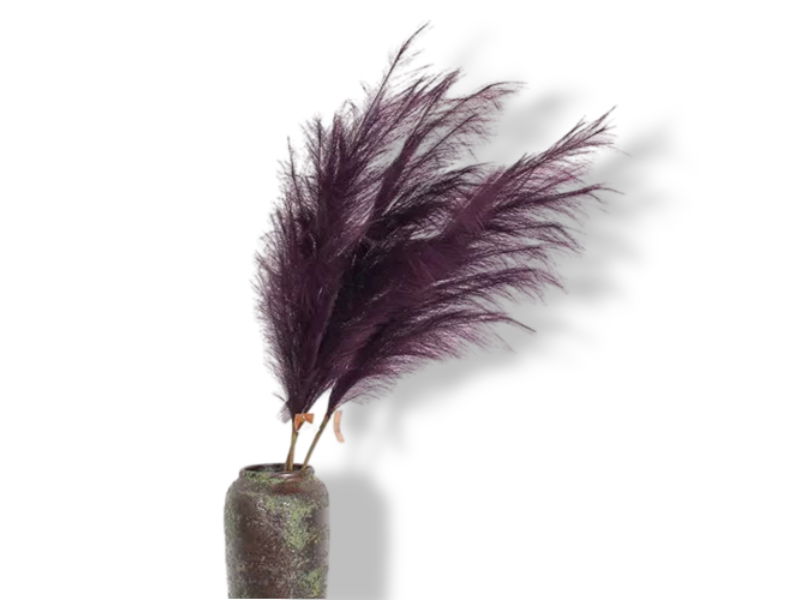 https://cdn.warentuin.nl/media/catalog/product/S/C/SCAN2500000238871_01_buitengewoon_de_boet_pampas_gras_60_cm_mauve_0cea.jpg