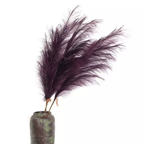https://cdn.warentuin.nl/media/catalog/product/S/C/SCAN2500000238871_buitengewoon_boet_kunstplant_pampas_gras_60_cm_mauve_kunstpla_b3b3.jpg