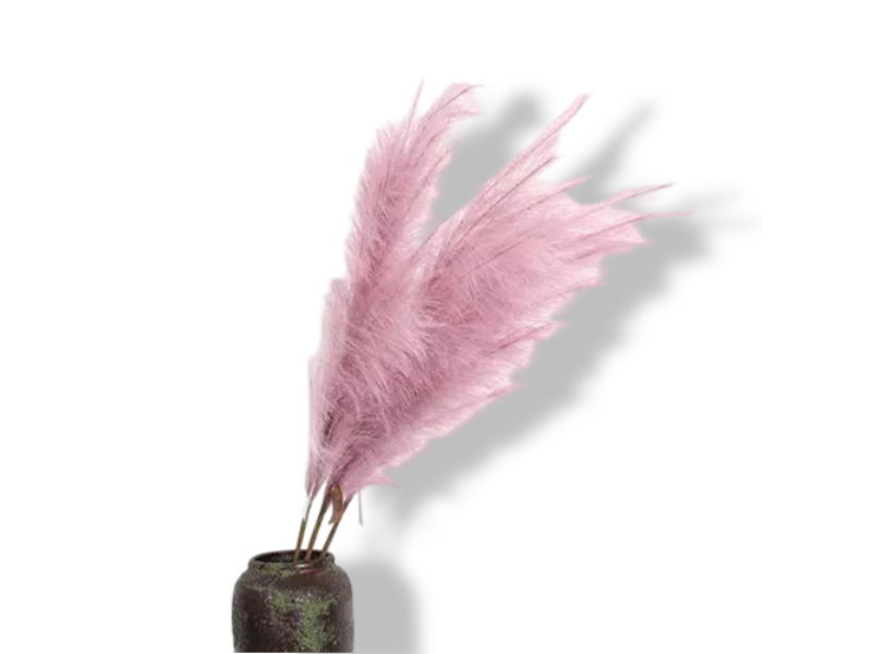 https://cdn.warentuin.nl/media/catalog/product/S/C/SCAN2500000238888_01_buitengewoon_de_boet_pampas_gras_60_cm_oud_r_7846.jpg