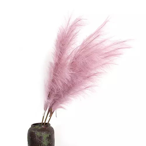 https://cdn.warentuin.nl/media/catalog/product/S/C/SCAN2500000238888_buitengewoon_boet_kunstplant_pampas_gras_60_cm_oud_roze_kunst_1f5a.jpg