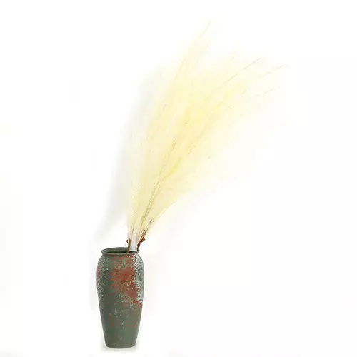 https://cdn.warentuin.nl/media/catalog/product/S/C/SCAN2500000238895_01_buitengewoon_boet_kunstplant_pampas_gras_60_cm_licht_geel__24cd.jpg