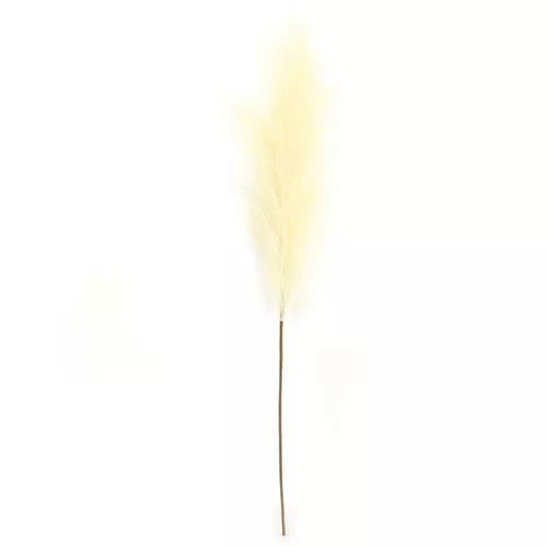 https://cdn.warentuin.nl/media/catalog/product/S/C/SCAN2500000238895_buitengewoon_boet_kunstplant_pampas_gras_60_cm_licht_geel_kun_fa9a.jpg