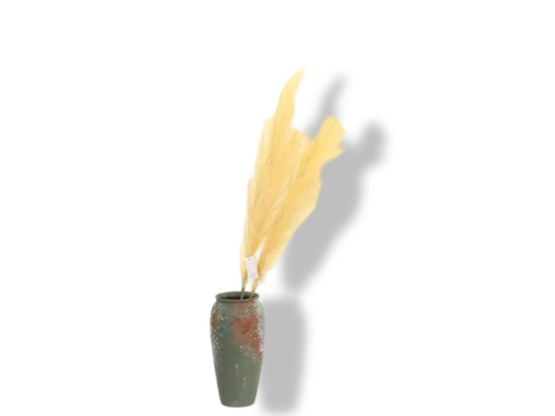 https://cdn.warentuin.nl/media/catalog/product/S/C/SCAN2500000238901_01_buitengewoon_de_boet_pampas_gras_60_cm_warm__7352.jpg