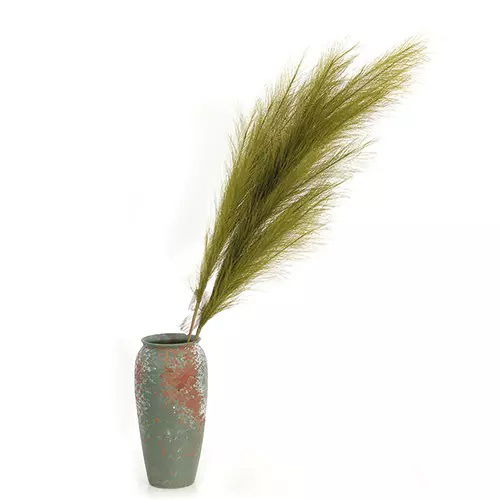 https://cdn.warentuin.nl/media/catalog/product/S/C/SCAN2500000238918_01_buitengewoon_boet_kunstplant_pampas_gras_60_cm_mos_groen_k_c275.jpg
