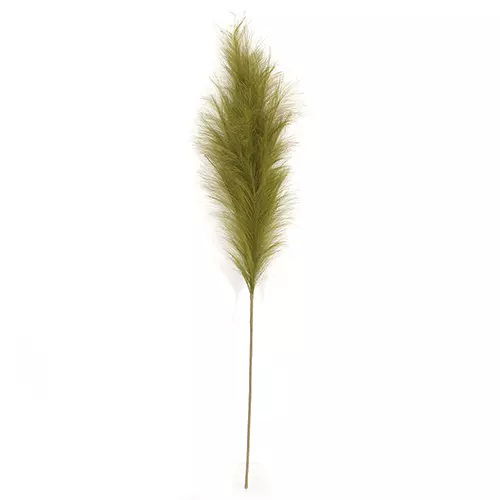 https://cdn.warentuin.nl/media/catalog/product/S/C/SCAN2500000238918_buitengewoon_boet_kunstplant_pampas_gras_60_cm_mos_groen_kuns_5e41.jpg