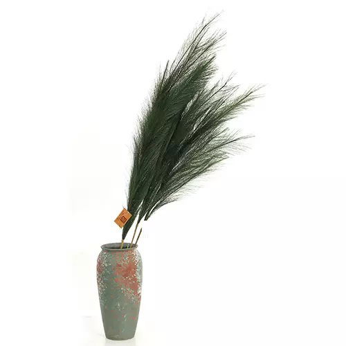 https://cdn.warentuin.nl/media/catalog/product/S/C/SCAN2500000238925_01_buitengewoon_boet_kunstplant_pampas_gras_60_cm_donker_groe_6159.jpg