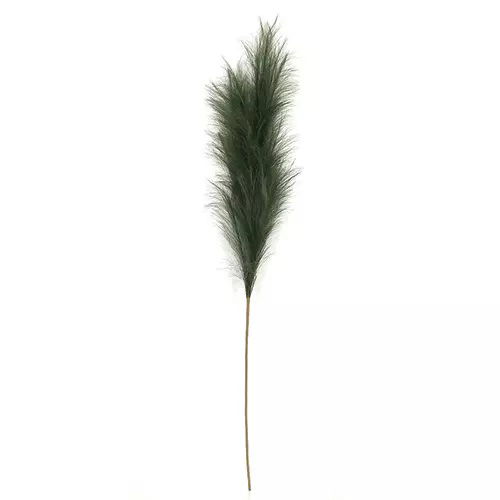 https://cdn.warentuin.nl/media/catalog/product/S/C/SCAN2500000238925_buitengewoon_boet_kunstplant_pampas_gras_60_cm_donker_groen_k_8a12.jpg