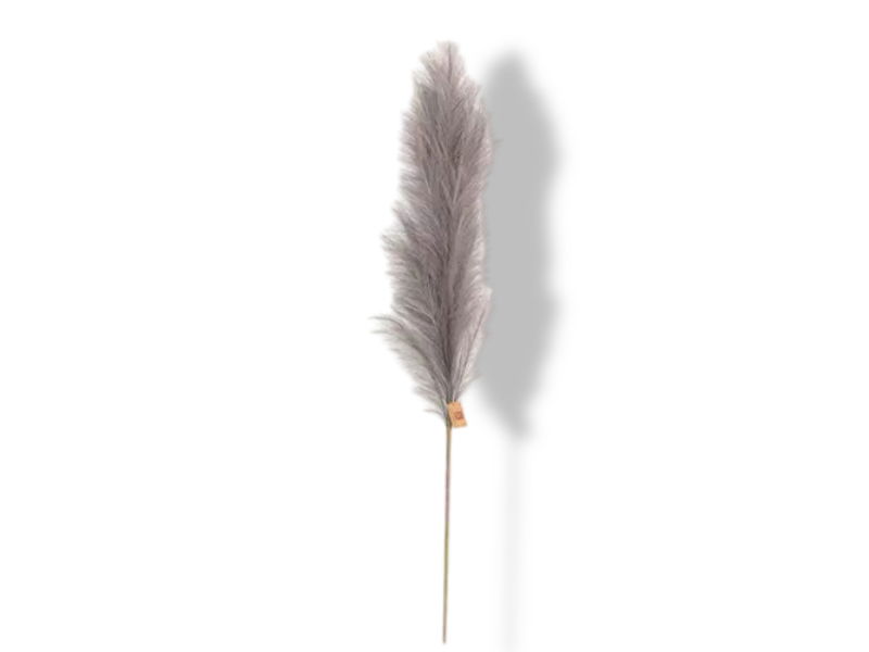 https://cdn.warentuin.nl/media/catalog/product/S/C/SCAN2500000238932_01_buitengewoon_de_boet_pampas_gras_60_cm_donke_1b71.jpg