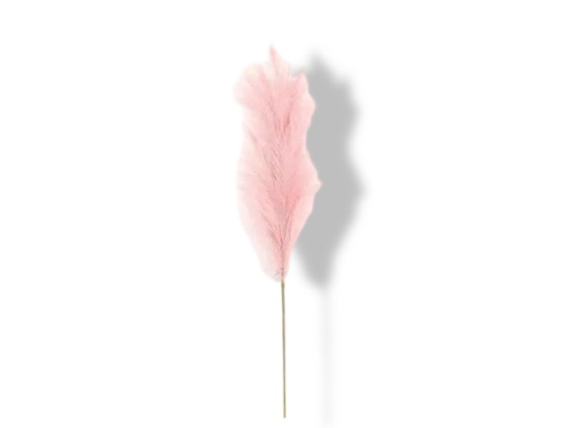 https://cdn.warentuin.nl/media/catalog/product/S/C/SCAN2500000238949_01_buitengewoon_de_boet_pampas_gras_60_cm_licht_fd08.jpg