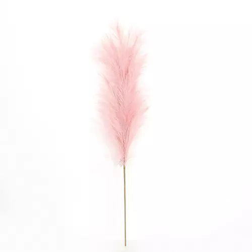 https://cdn.warentuin.nl/media/catalog/product/S/C/SCAN2500000238949_buitengewoon_boet_kunstplant_pampas_gras_60_cm_licht_roze_kun_e037.jpg