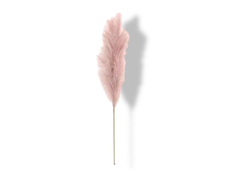 https://cdn.warentuin.nl/media/catalog/product/S/C/SCAN2500000238963_01_buitengewoon_de_boet_pampas_gras_60_cm_roze__a400.jpg