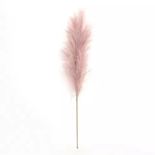 https://cdn.warentuin.nl/media/catalog/product/S/C/SCAN2500000238963_buitengewoon_boet_kunstplant_pampas_gras_60_cm_roze_kunstplan_c6e8.jpg
