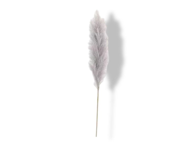 https://cdn.warentuin.nl/media/catalog/product/S/C/SCAN2500000238970_01_buitengewoon_de_boet_pampas_gras_60_cm_licht_e007.jpg