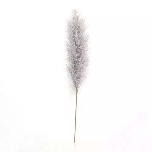 https://cdn.warentuin.nl/media/catalog/product/S/C/SCAN2500000238970_buitengewoon_boet_kunstplant_pampas_gras_60_cm_licht_grijs_ku_4e75.jpg