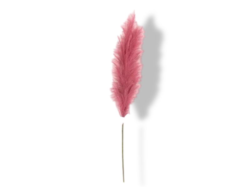 https://cdn.warentuin.nl/media/catalog/product/S/C/SCAN2500000239007_01_buitengewoon_de_boet_pampas_gras_60_cm_donke_a6af.jpg