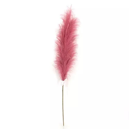https://cdn.warentuin.nl/media/catalog/product/S/C/SCAN2500000239007_buitengewoon_boet_kunstplant_pampas_gras_60_cm_donker_rood_ku_8afc.jpg