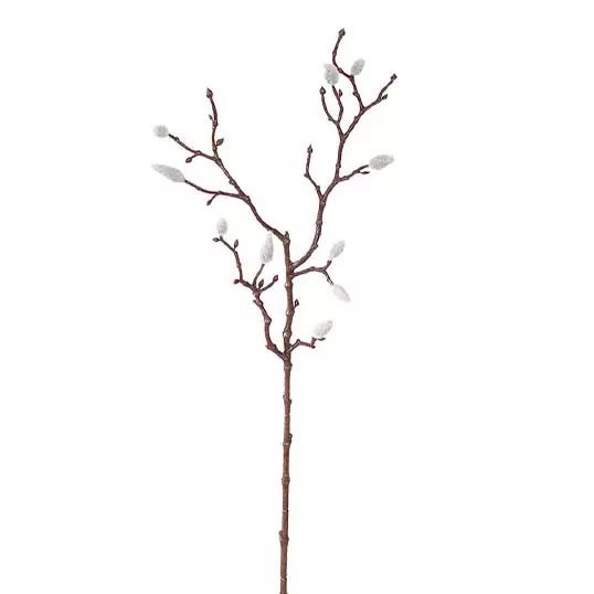 https://cdn.warentuin.nl/media/catalog/product/S/C/SCAN2500000240928_buitengewoon_boet_kunstplant_katjes_tak_cream_64_cm_kunstplan_e5e3.jpg