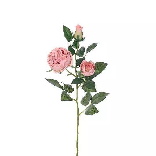 https://cdn.warentuin.nl/media/catalog/product/S/C/SCAN2500000241062_buitengewoon_boet_kunstplant_engelse_roos_tak_oud_roze_64_cm__4f68.jpg