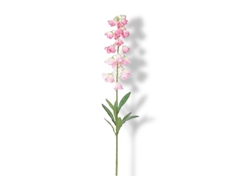https://cdn.warentuin.nl/media/catalog/product/S/C/SCAN2500000241307_01_buitengewoon_de_boet_campanula_pink_94_cm_ku_0c24.jpg