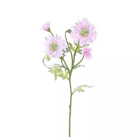 Scabiosa Tak Licht Roze 60 cm kunstplant Buitengewoon de Boet