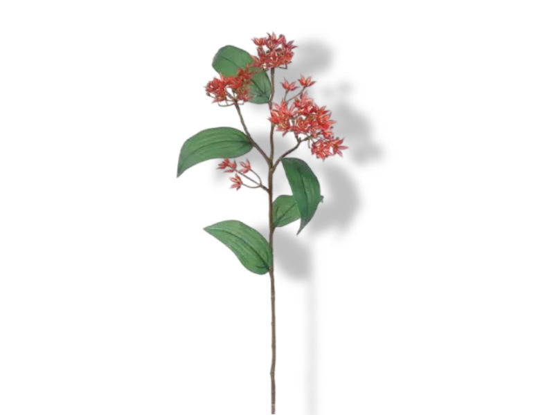 https://cdn.warentuin.nl/media/catalog/product/S/C/SCAN2500000241406_01_buitengewoon_de_boet_butterfly_weed_tak_rood_4e92.jpg