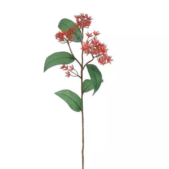 https://cdn.warentuin.nl/media/catalog/product/S/C/SCAN2500000241406_buitengewoon_boet_kunstplant_butterfly_weed_tak_rood_62_cm_ku_2066.jpg