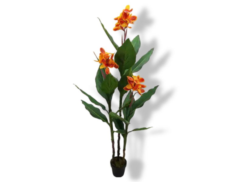 https://cdn.warentuin.nl/media/catalog/product/S/C/SCAN2500000241994_01_buitengewoon_de_boet_canna_lily_3_bloem_160__c736.jpg