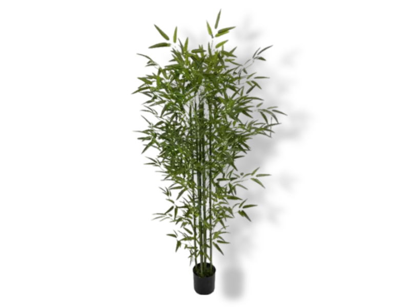 https://cdn.warentuin.nl/media/catalog/product/S/C/SCAN2500000242014_01_buitengewoon_de_boet_bamboe_groen_180_cm_kun_40bb.jpg
