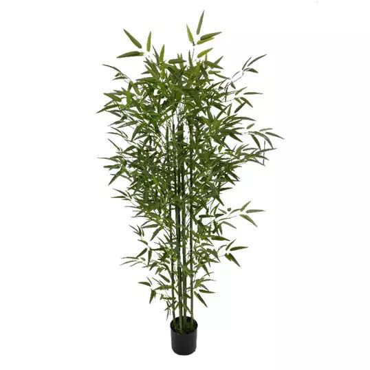 https://cdn.warentuin.nl/media/catalog/product/S/C/SCAN2500000242014_buitengewoon_boet_kunstplant_bamboe_groen_180_cm_kunstplant_8da9.jpg
