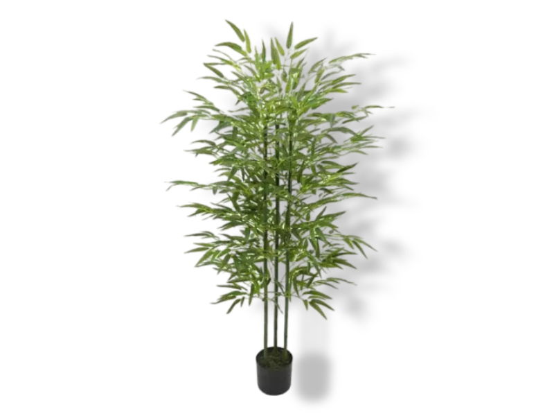 https://cdn.warentuin.nl/media/catalog/product/S/C/SCAN2500000242038_01_buitengewoon_de_boet_bamboe_groen_155_cm_kun_fe7b.jpg
