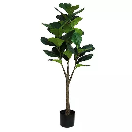 https://cdn.warentuin.nl/media/catalog/product/S/C/SCAN2500000243332_buitengewoon_boet_kunstplant_ficus_lyrata_122_cm_kunstplant_7a56.jpg