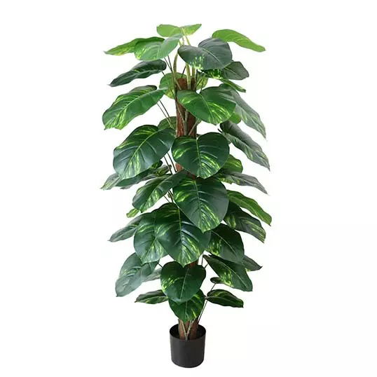 https://cdn.warentuin.nl/media/catalog/product/S/C/SCAN2500000243394_buitengewoon_boet_kunstplant_dieffenbachia_152_cm_kunstplant_faab.jpg