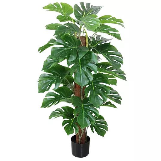 https://cdn.warentuin.nl/media/catalog/product/S/C/SCAN2500000243400_buitengewoon_boet_kunstplant_monstera_op_stam_115_cm_kunstpla_5373.jpg