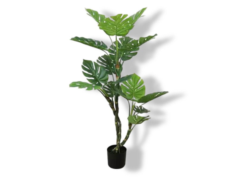 https://cdn.warentuin.nl/media/catalog/product/S/C/SCAN2500000243455_01_buitengewoon_de_boet_monstera_3_stam_135_cm__5645.jpg