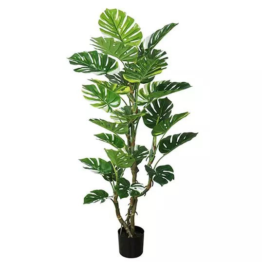 https://cdn.warentuin.nl/media/catalog/product/S/C/SCAN2500000243462_buitengewoon_boet_kunstplant_monstera_155_cm_kunstplant_f412.jpg