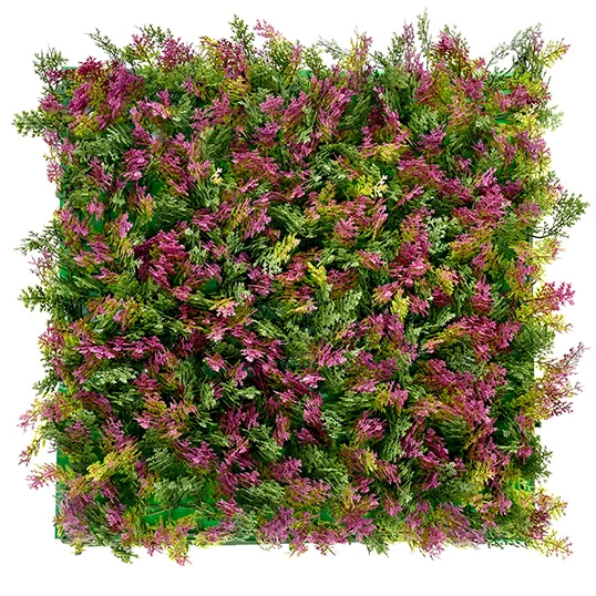 https://cdn.warentuin.nl/media/catalog/product/S/C/SCAN2500000245794_cypress_mat_50x50_cm_kunsthaag_buitengewoon_boet_9082.png