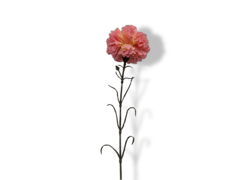 https://cdn.warentuin.nl/media/catalog/product/S/C/SCAN2500000247477_01_buitengewoon_de_boet_kunstbloem_kunst_anjer_tak_1153.jpg